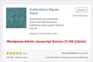 WordPress Admin Javascript Sorunu ( NET Çözüm )
