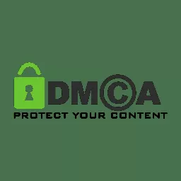 DMCA şikayet sorgulama